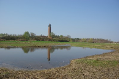 Leuchtturm Neuland