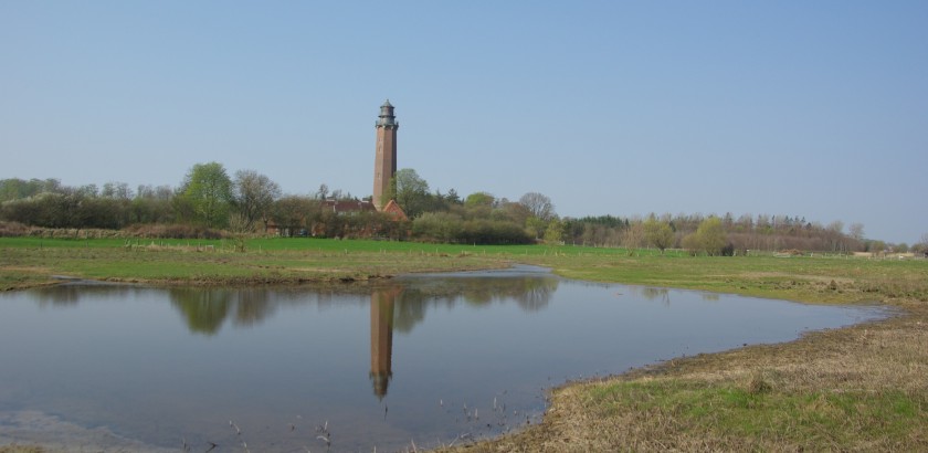 Leuchtturm Neuland